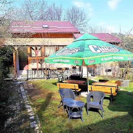 Leyla Guesthouse Castel Брашов Екстер'єр фото