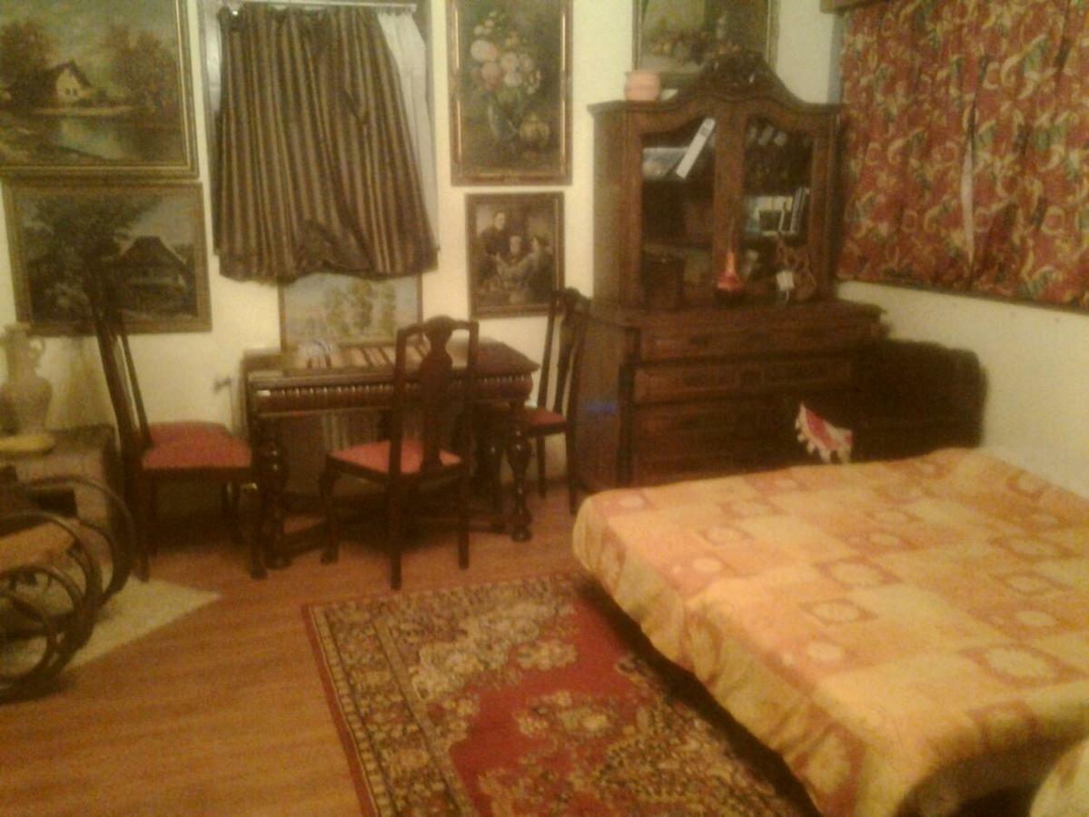 Leyla Guesthouse Castel Брашов Екстер'єр фото