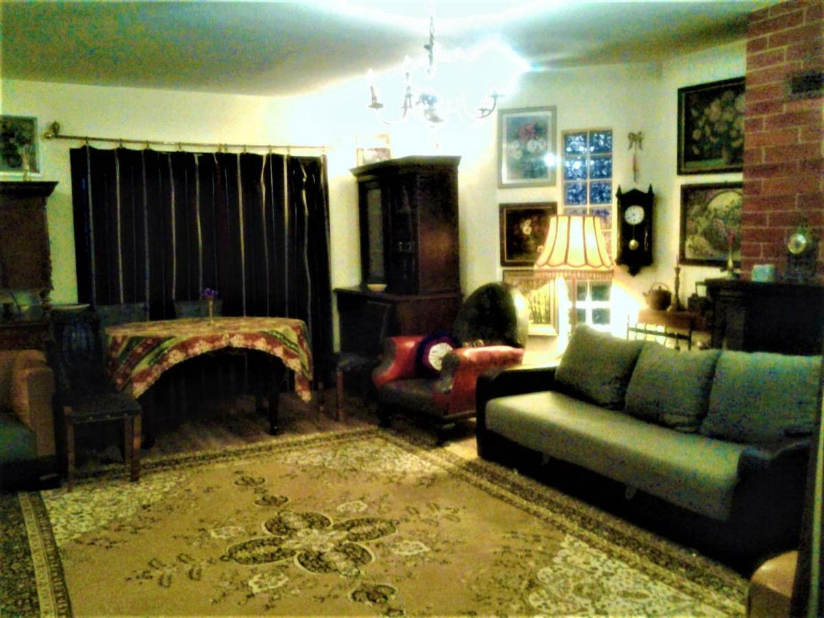 Leyla Guesthouse Castel Брашов Екстер'єр фото