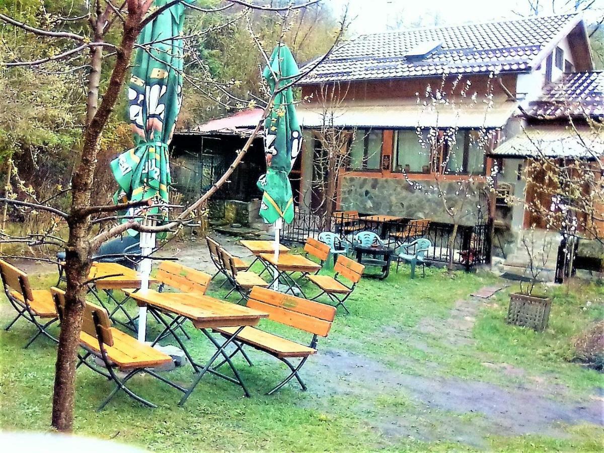 Leyla Guesthouse Castel Брашов Екстер'єр фото