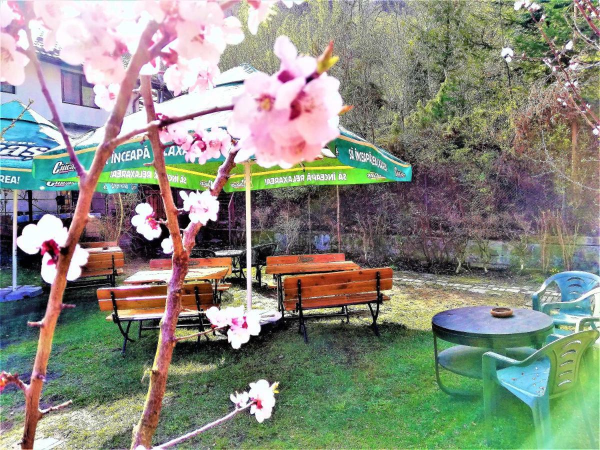 Leyla Guesthouse Castel Брашов Екстер'єр фото