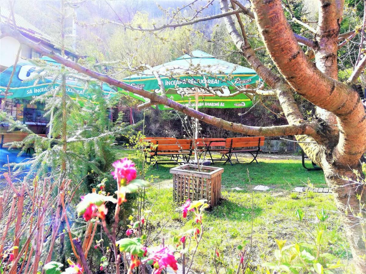 Leyla Guesthouse Castel Брашов Екстер'єр фото