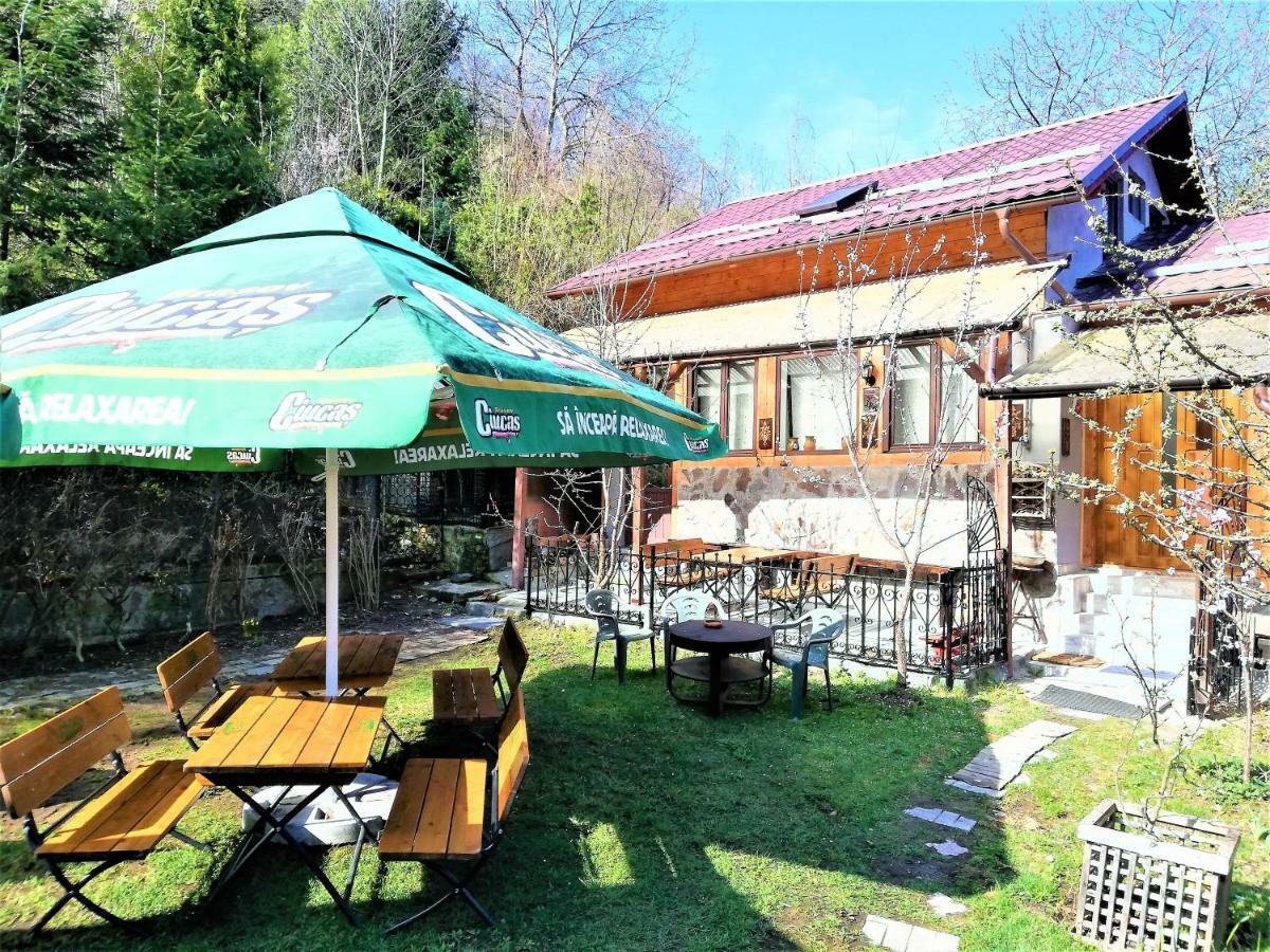 Leyla Guesthouse Castel Брашов Екстер'єр фото