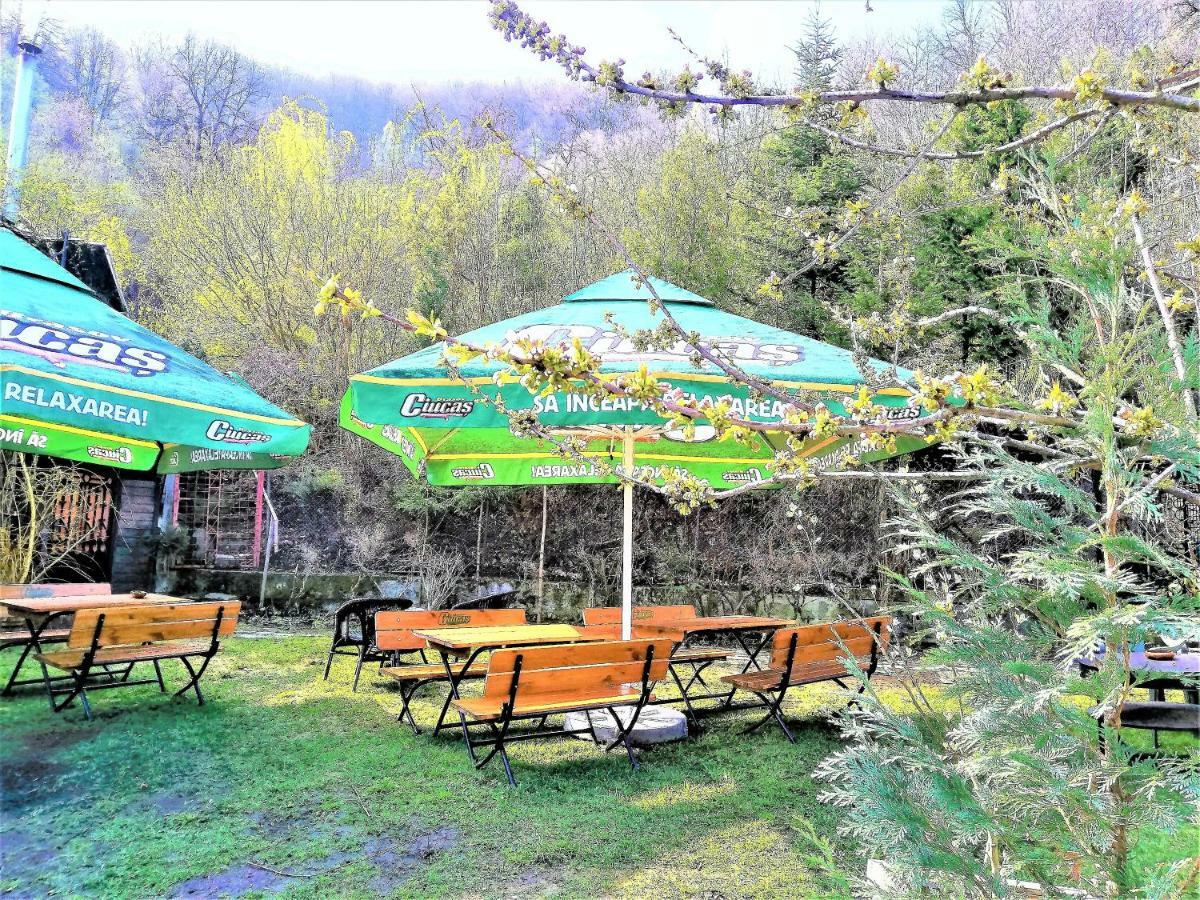 Leyla Guesthouse Castel Брашов Екстер'єр фото