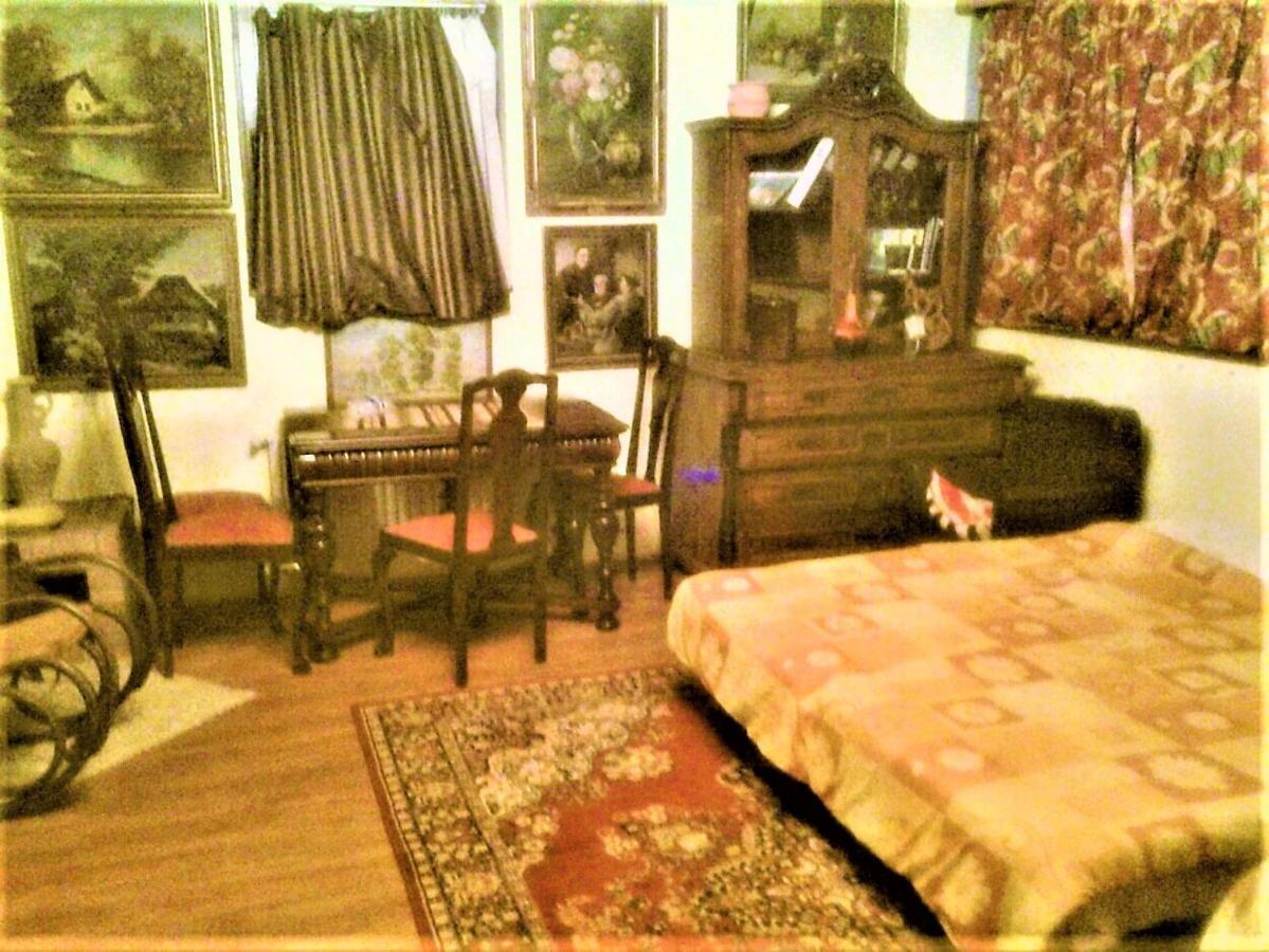 Leyla Guesthouse Castel Брашов Екстер'єр фото