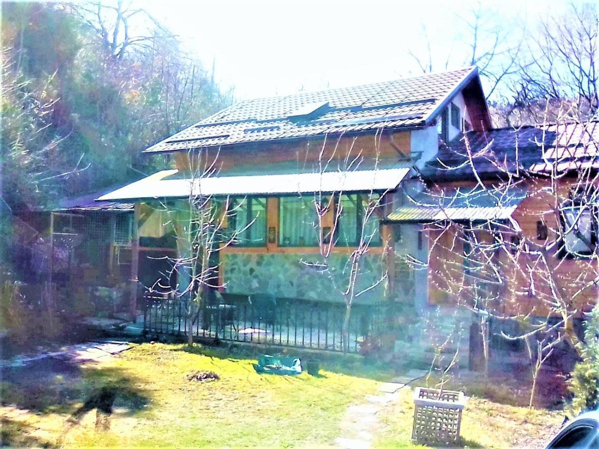Leyla Guesthouse Castel Брашов Екстер'єр фото